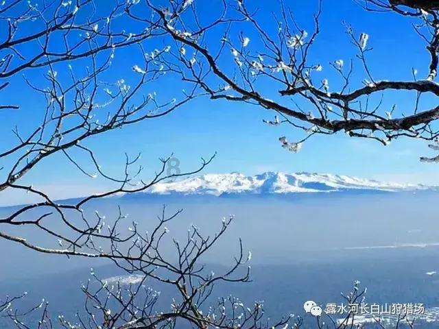 老山侦察作战纪实：43军侦察大队767人，一年内超600人立功表彰