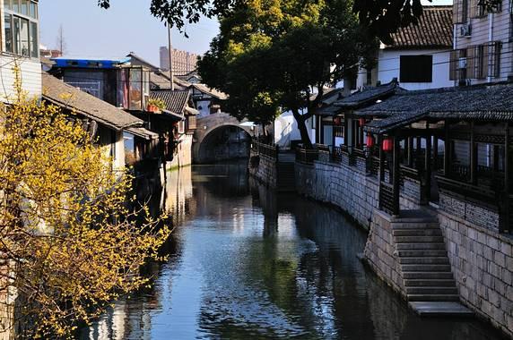 动物帮帮忙保卫家园